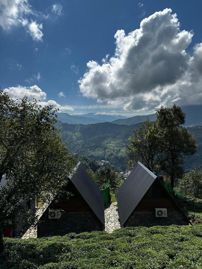 Eloi Suit Bungalov Ardeşen Exteriér fotografie